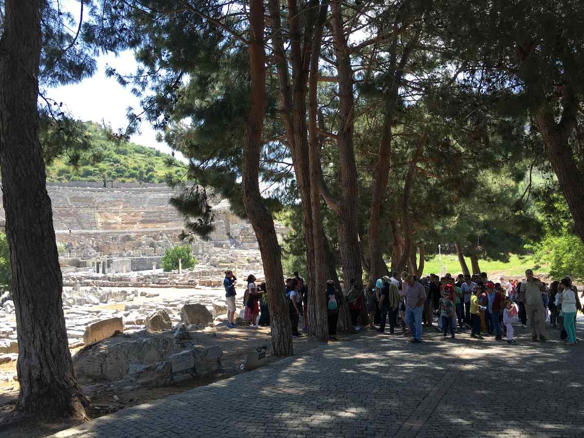 A large tour group under tall pine trees on the paved path at the north end of Ephesus, with the tiers of the Great Theater on the hillside behind